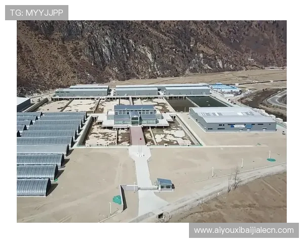 云顶集团在哪：云顶集团的主要办公地点和其在全球范围内的扩展情况