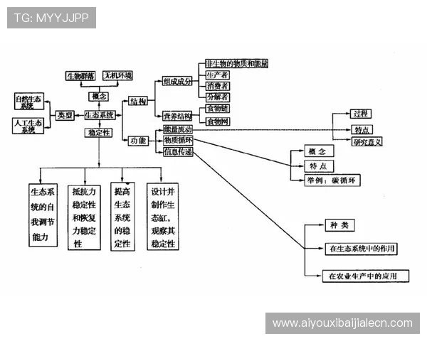 皇冠K8视讯用户体验评测全面分析平台稳定性与服务质量