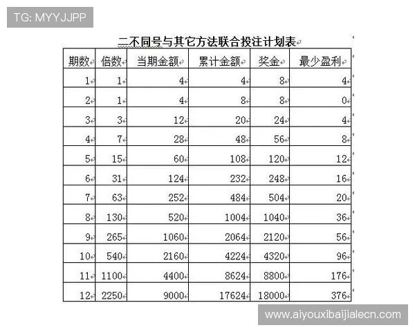 深入讲解百家樂的游戏规则与投注策略，助你轻松应对各种游戏场景